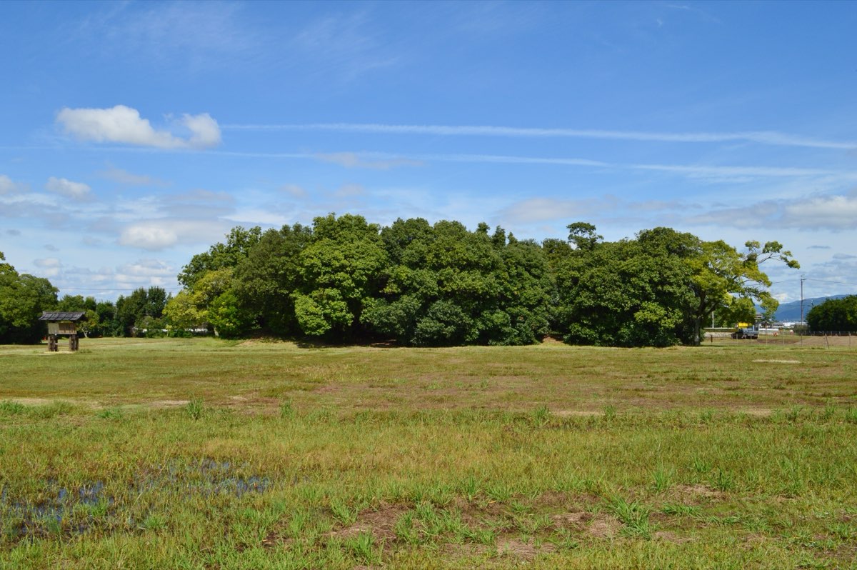 A wide grassy field under a blue sky, with a dense clump of tall trees on a low mound in the middle and a small wooden signboard at the left