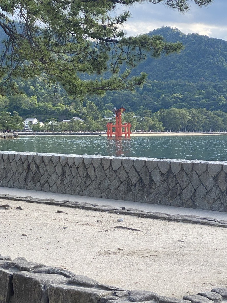 The vermilion great torii of Itsukushima Shrine standing in the sea, seen across the water from a seaside path with a stone sea wall and a sandy walkway, with pine branches above and green wooded hills behind