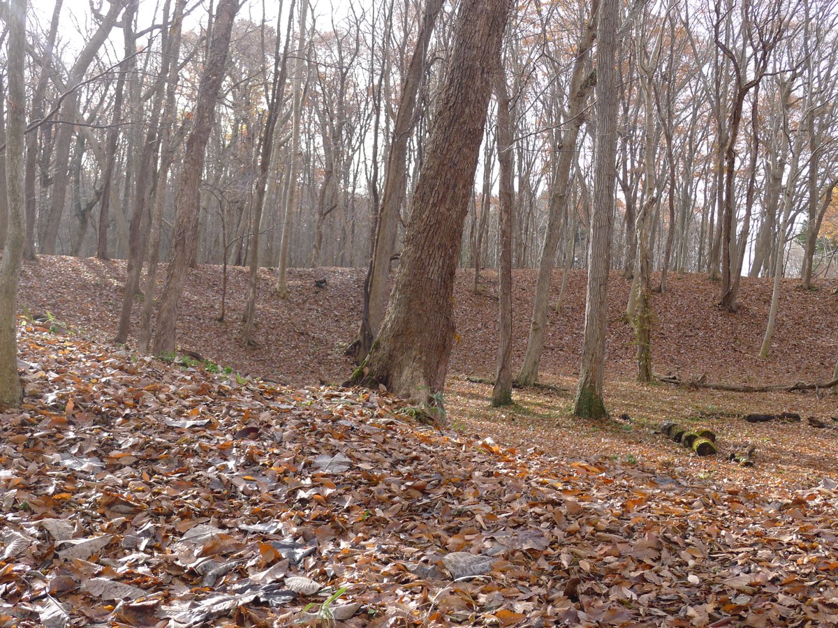 A wooded circular earthwork at the Kiusu Earthwork Burial Circles in Chitose, Hokkaido, photographed in 2020