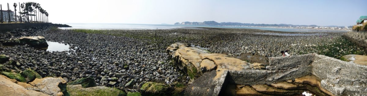 A wide panorama of a rocky shore at low tide, with a broad field of rounded grey stones and green seaweed stretching out toward the sea, larger flat rocks in the foreground, palm trees and buildings on the far left and wooded hills along the far shore