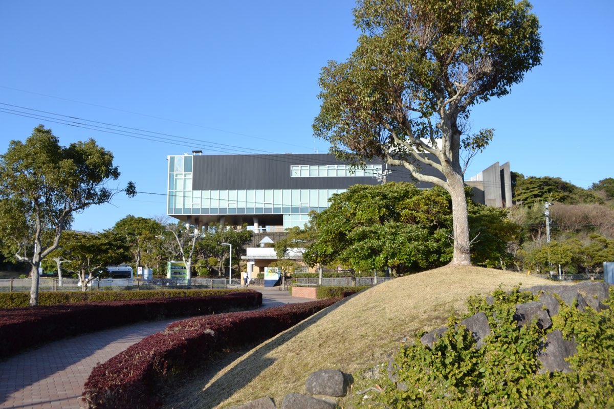 A modern building with a dark upper storey and a band of glass windows raised on pillars, seen beyond trees, low red hedges and a grassy mound with a large tree under a clear blue sky