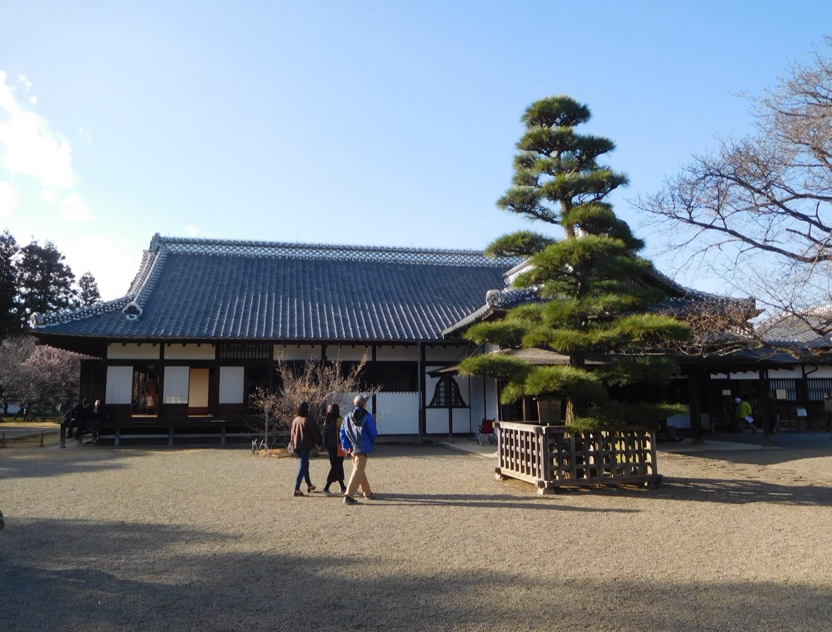 The main hall of the Kōdōkan in Mito, a long single-storey wooden building with white walls and a grey tiled roof, beside a large pruned pine behind a low wooden fence, with a few visitors seen from behind on the gravel forecourt under a clear blue sky