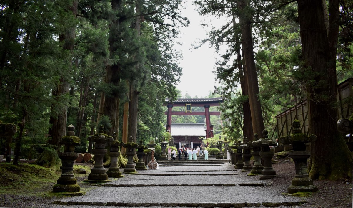 A gravel approach lined with moss-covered stone lanterns and tall cedar trees leads to a large red torii gate, with a shrine building and a few small figures beyond it