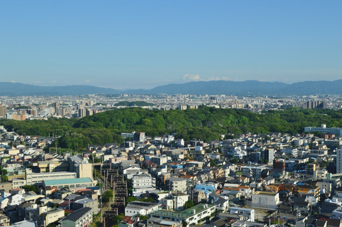 View from a height over a dense city of low houses and apartment blocks to a long, low wooded hill stretching across the middle of the picture, with more city and a line of mountains beyond under a clear blue sky